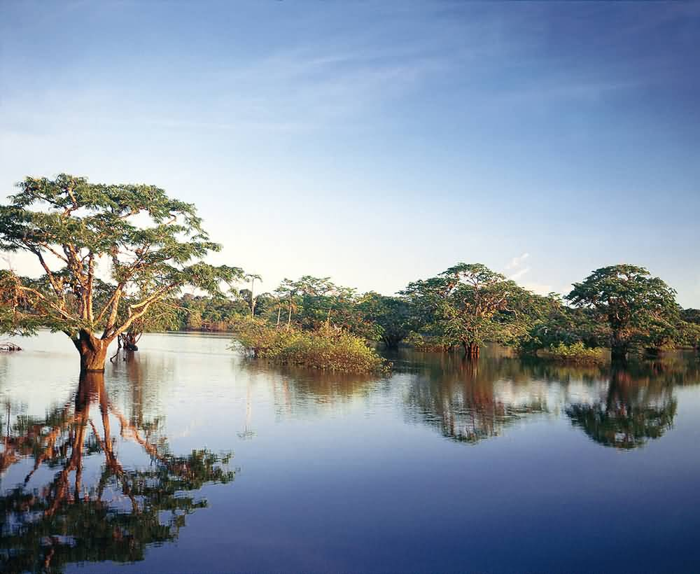 Flooded forest and mirror-like waters of the Laguna Grande, Cuyabeno