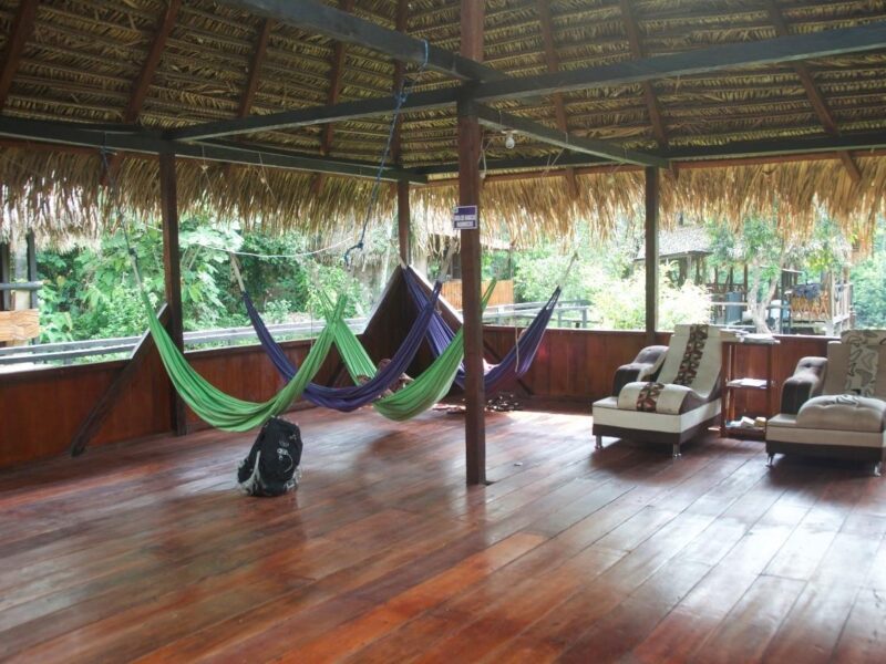 Hammocks and lounge chairs under the thatched roof at Cuyabeno Dolphin Lodge