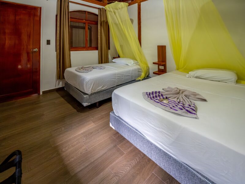 Matrimonial room at Cuyabeno Dolphin Lodge