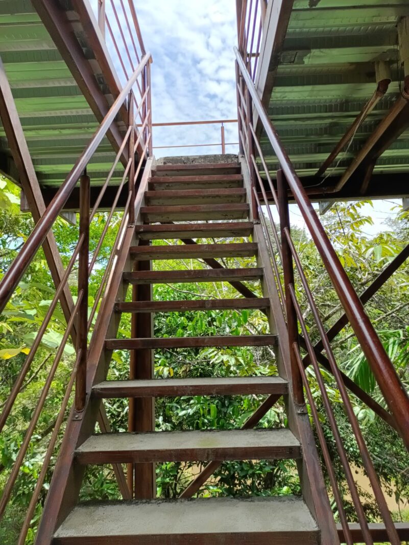 Stairs of the observation tower at Cuyabeno Dolphin Lodge climbing toward the sky